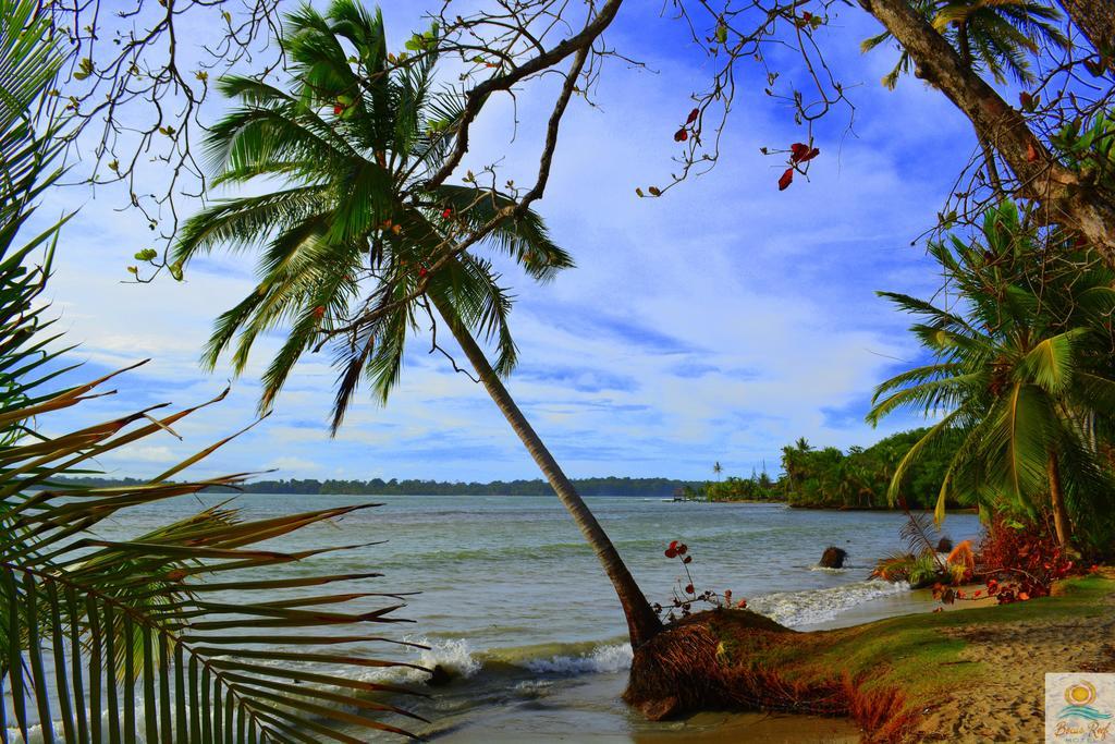 Bocas Reef Hotel Bocas del Toro Exterior photo